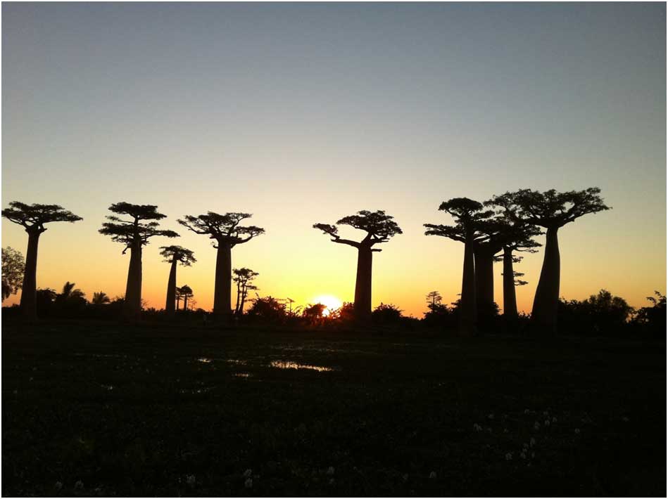 Discover the pearls of Madagascar with mada-viaggi-turismo.com