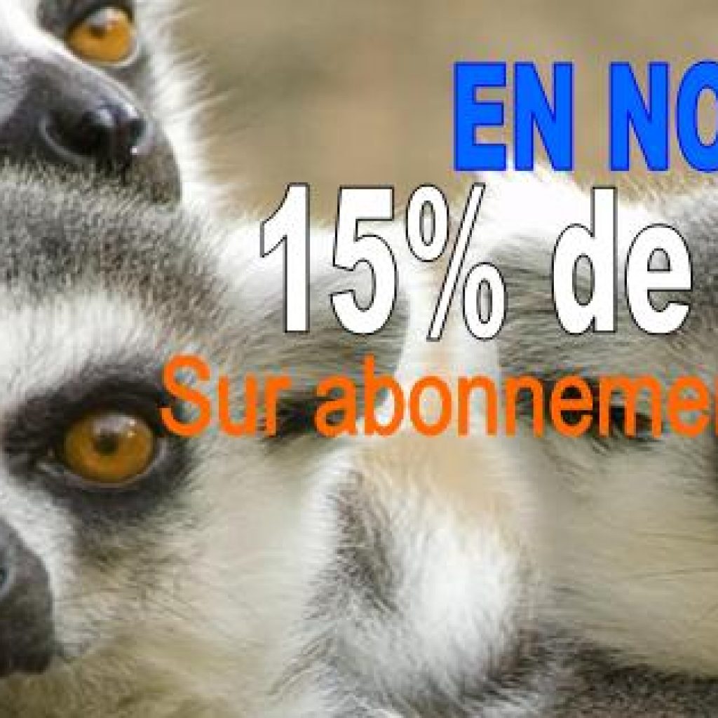 Promotion -15% sur les inscriptions pendant le mois de Novembre !