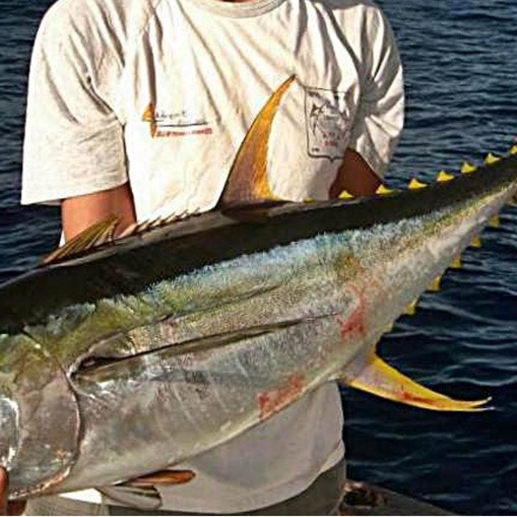 La Pêche Sportive À Madagascar