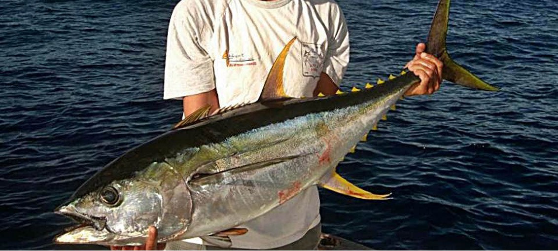 La Pêche Sportive À Madagascar