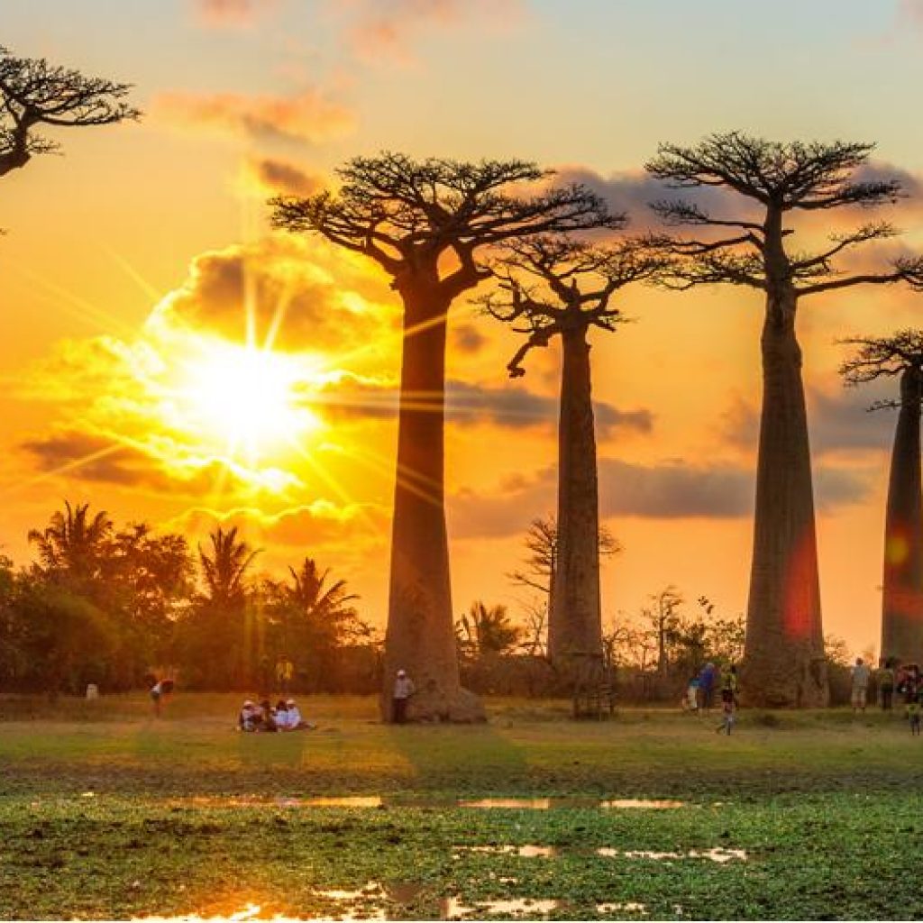 Madagaskar : ein touristisches Ziel mehr als interessant