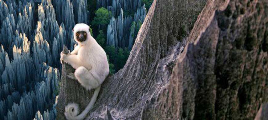 Tsingy De Bemaraha