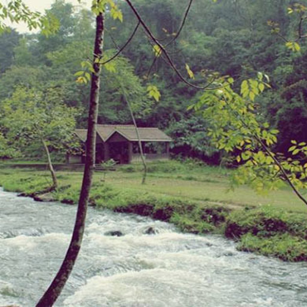 field Maintsoanala: an ecotourism site 60 km from Antananarivo