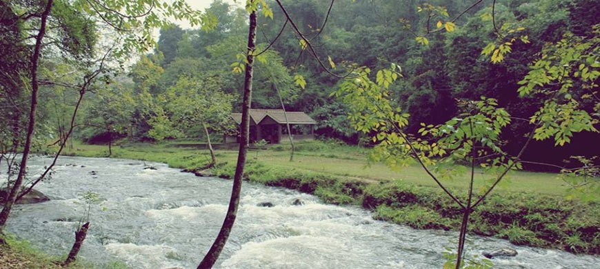 field Maintsoanala: an ecotourism site 60 km from Antananarivo