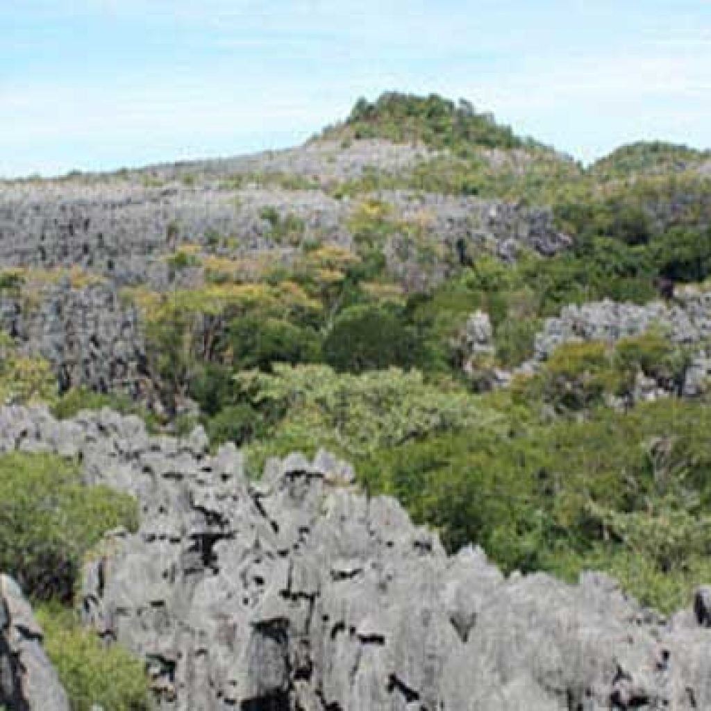 Racing Madagascar : A Trail-Running Unreleased Organized In The North Of Madagascar