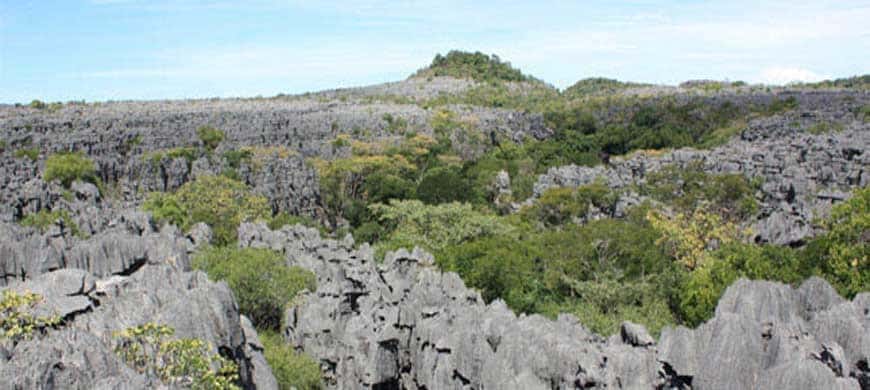 Racing Madagascar : A Trail-Running Unreleased Organized In The North Of Madagascar