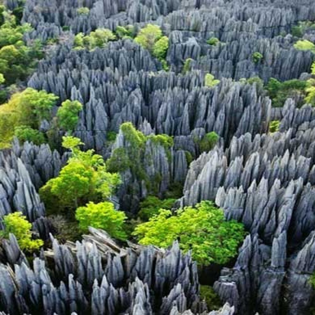 Das strenge Naturschutzgebiet Tsingy de Bemaraha