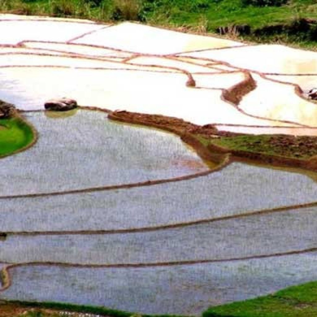 Betafo : una città verde e tranquilla, ideale per allontanarsi