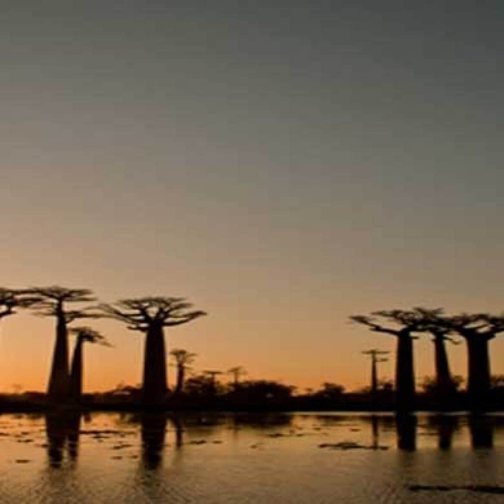 die Top 5 die besten Orte Bilder in Madagaskar nehmen