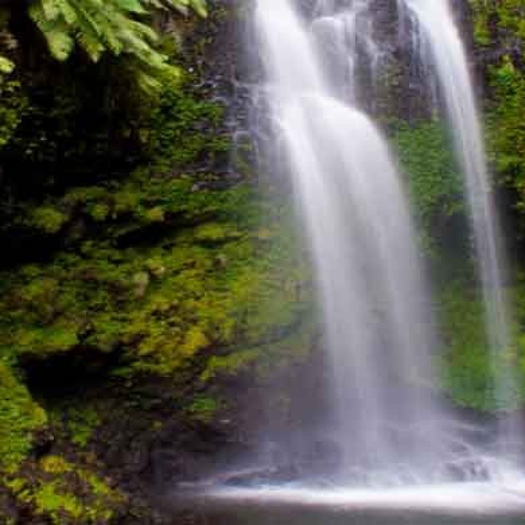 Madagascar: the Mountain National d & rsquo Park; Amber, an oasis in the north