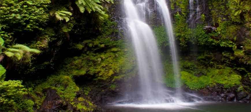 Madagascar: the Mountain National d & rsquo Park; Amber, an oasis in the north