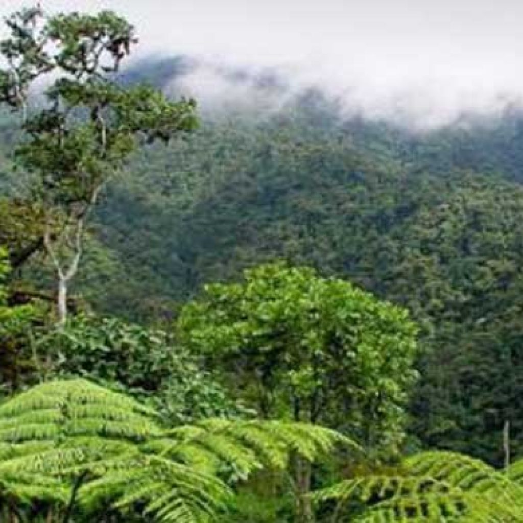 Der natürliche Reichtum des nördlichen Madagaskar