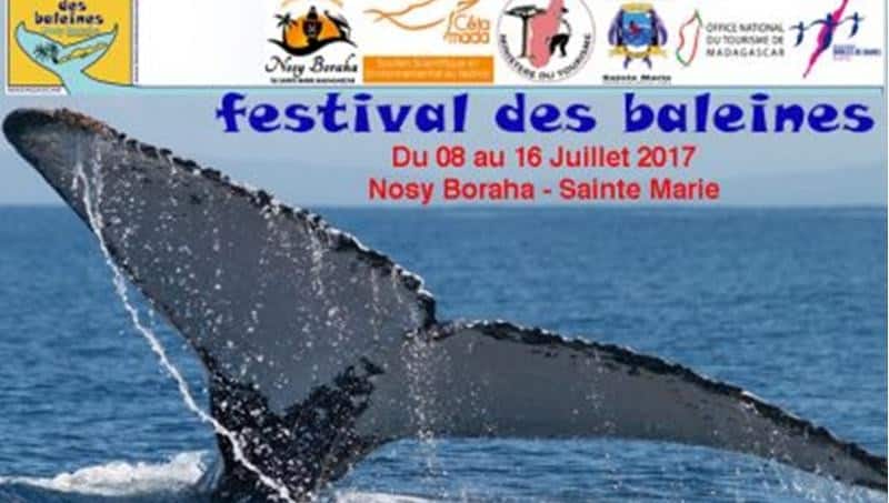 08 au 16 juillet 2017 : Festival des baleines sur l’île Sainte Marie