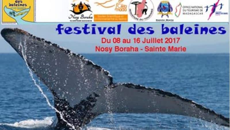 08 the 16 July 2017 : Whale Festival on Île Sainte Marie