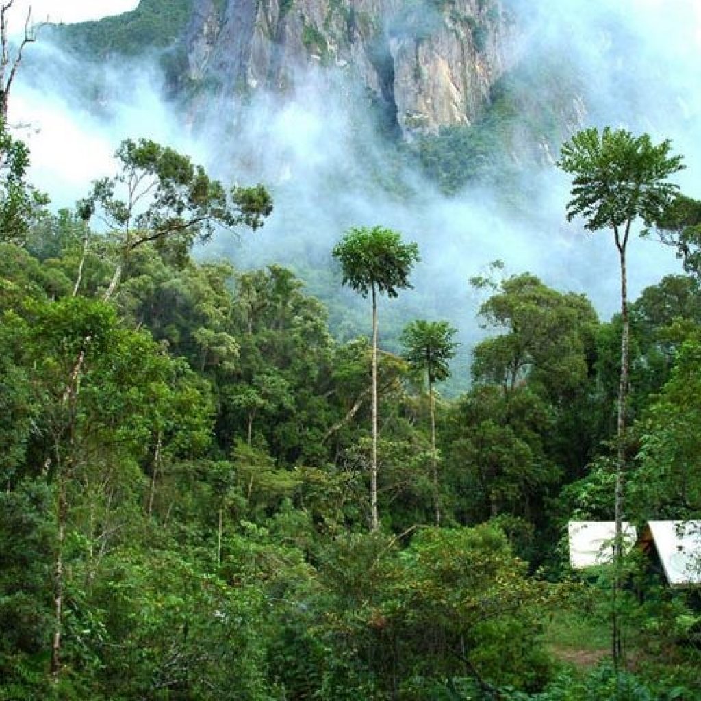 Erstaunliche Orte in Madagaskar zu besuchen : Marojejy Nationalpark