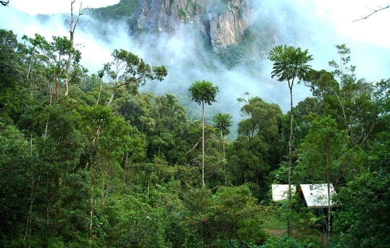 Des endroits incroyables à visiter à Madagascar : Le Parc national de Marojejy