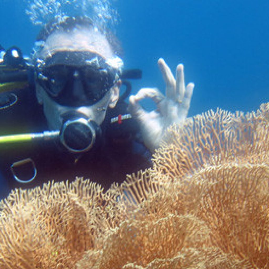 Entdecken Sie die Unterwasserschätze von Sainte-Marie in Madagaskar