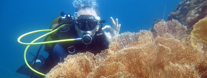 Entdecken Sie die Unterwasserschätze von Sainte-Marie in Madagaskar