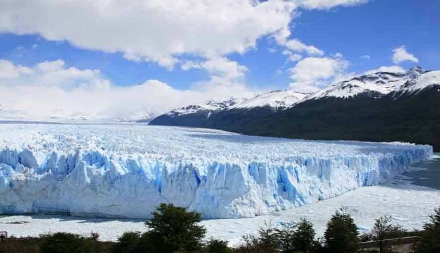 argentino