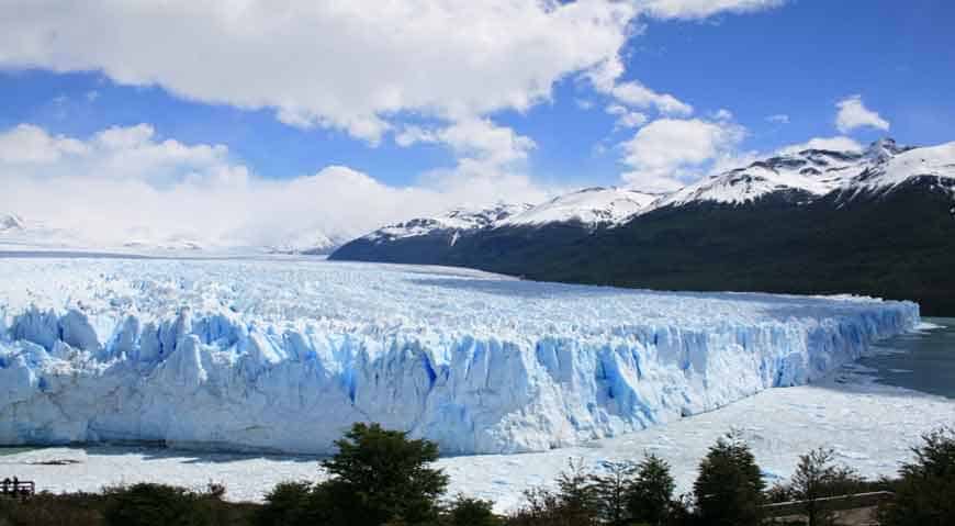 Argentine