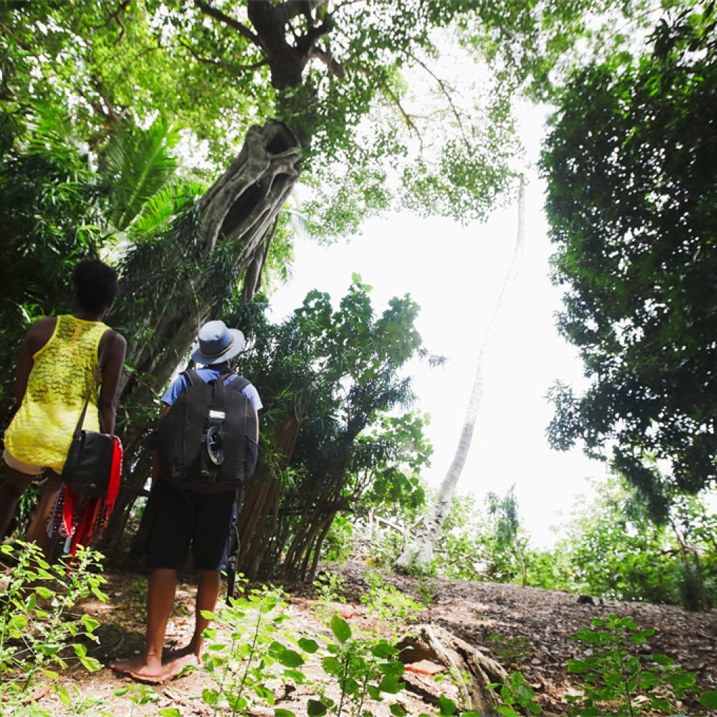 5e édition du Nosy Be Trail: un parcours paradisiaque sous les tropiques