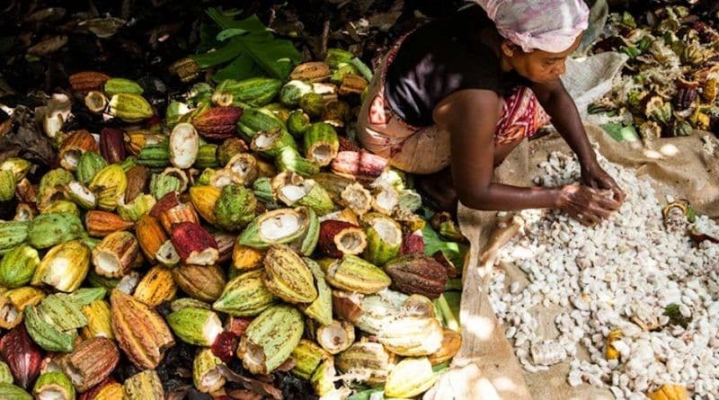 1000 Dinge in Ambanja zu tun : Wanderungen in den schönen Plantagen