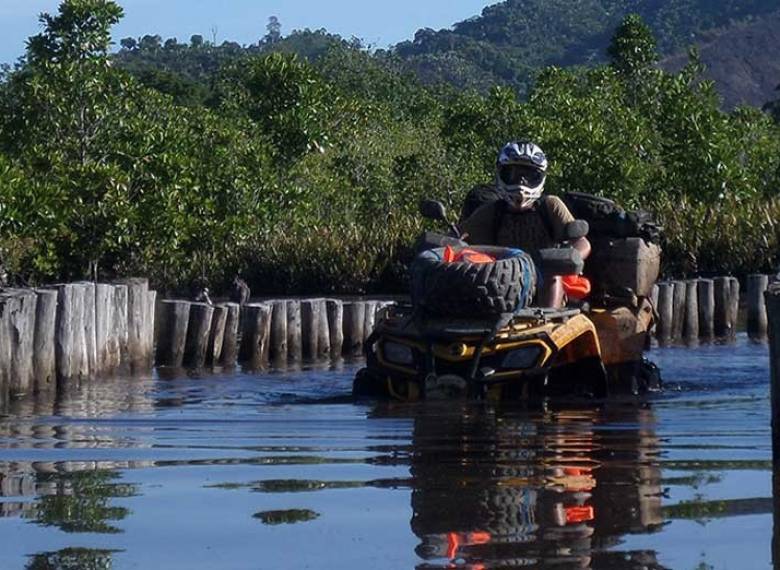 出租 501 马达加斯加