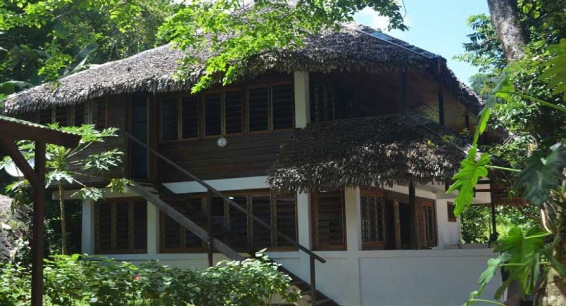 Dounia Forest Lodge