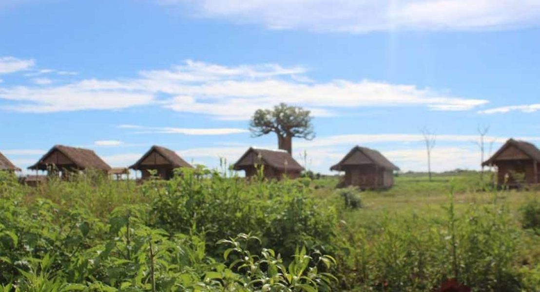 Le Relais du Kirindy