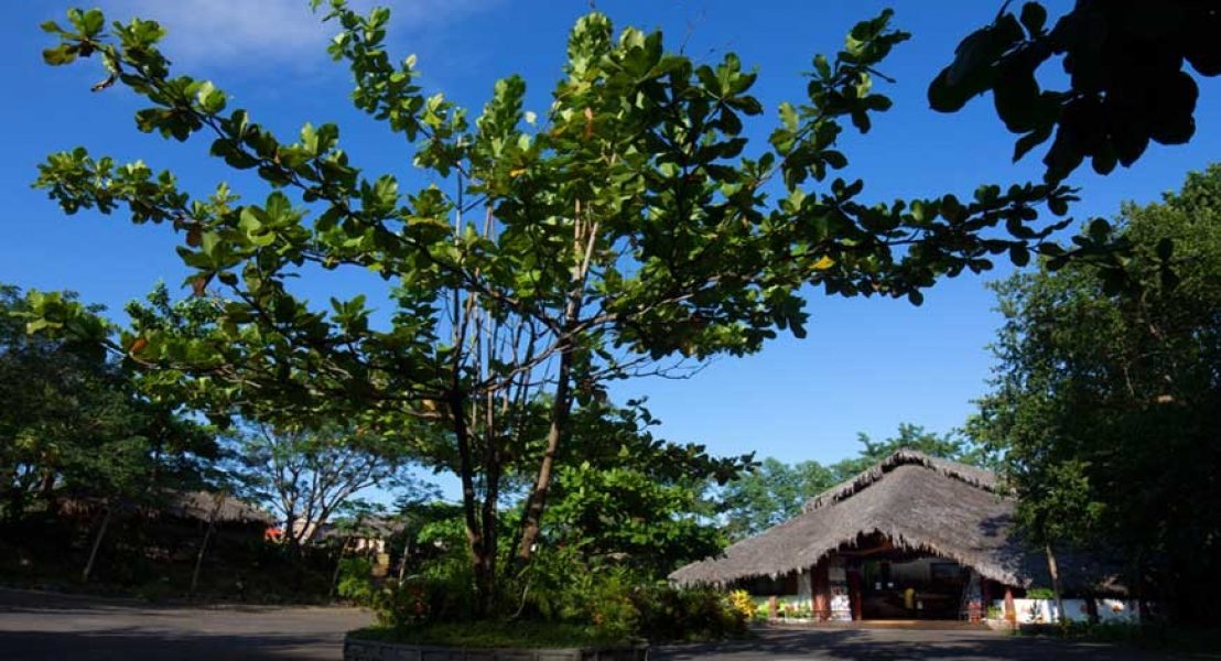 Ravintsara Wellness Hôtel
