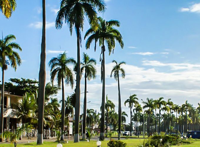 Foresta e il Paradiso di’ Oriente