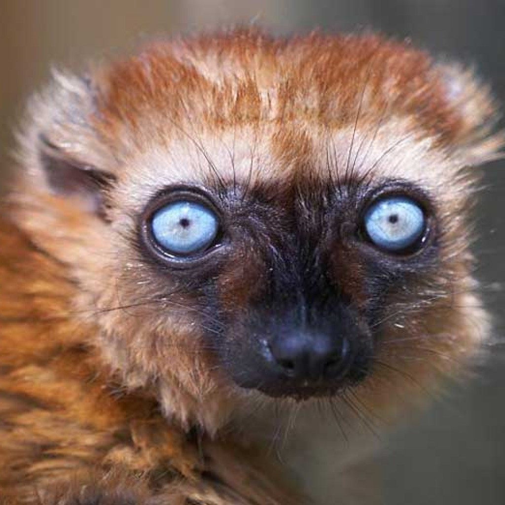 Le tour de Madagascar en quelques mots