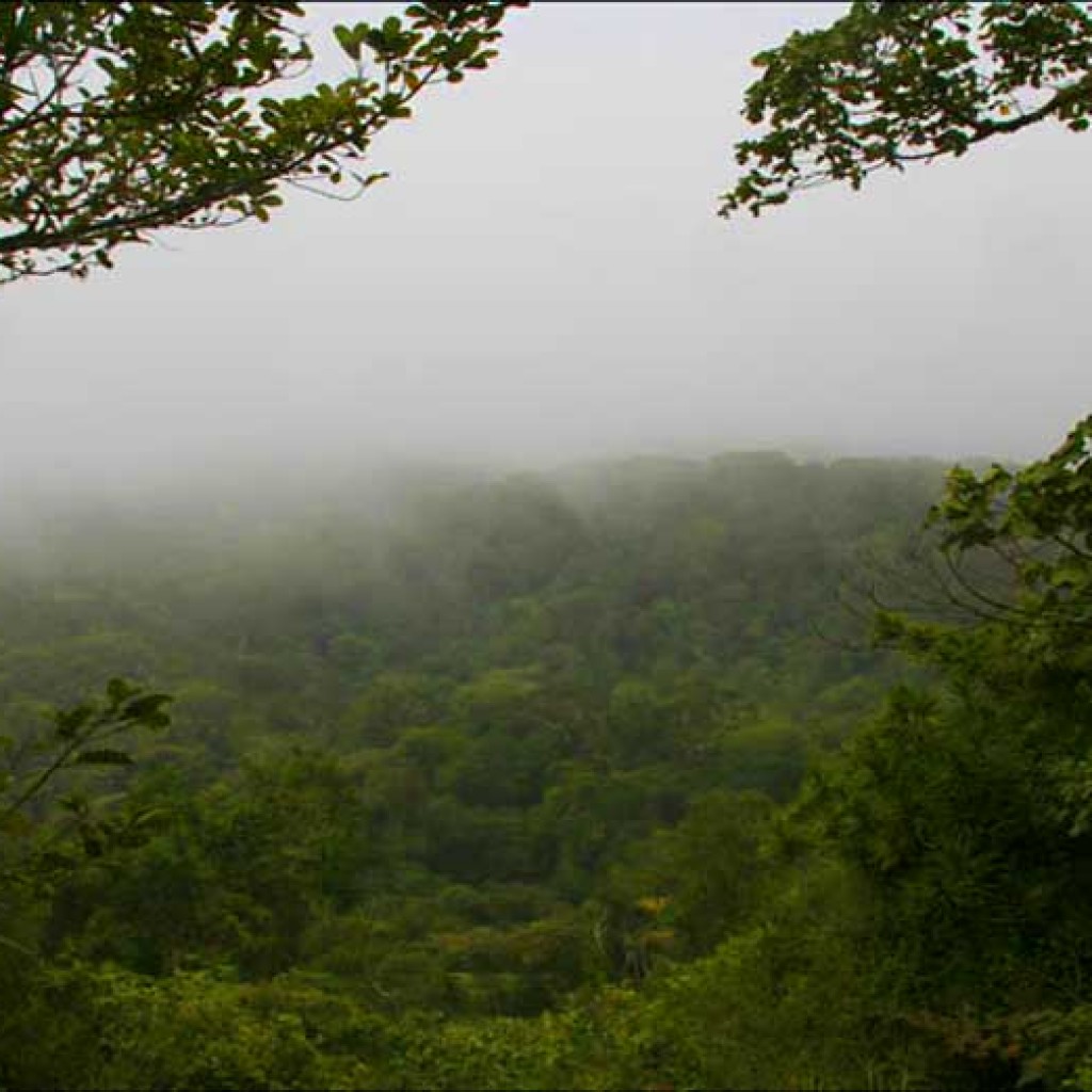 Montagne d’Ambre