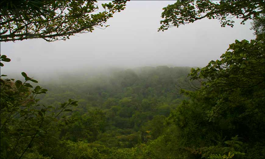 Montagne d’Ambre