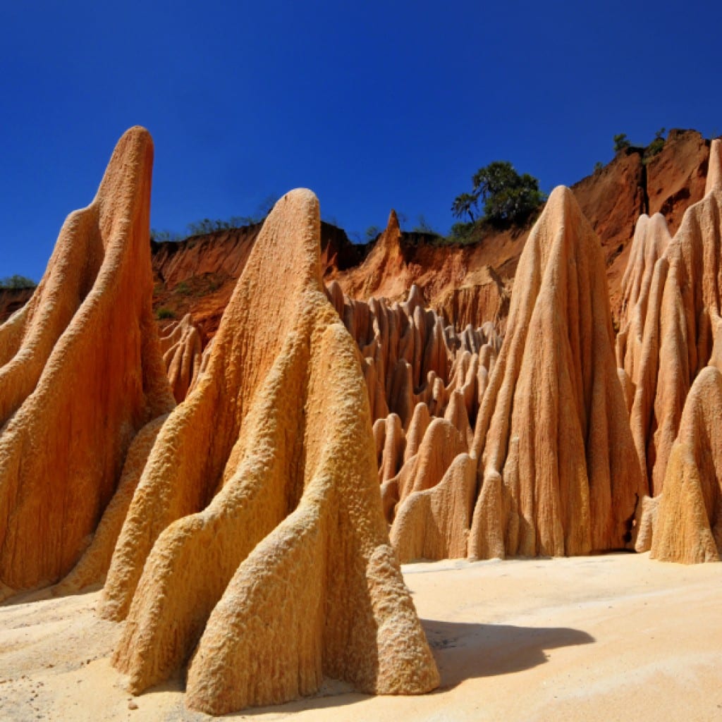 Exploration des Tsingy Rouge de Diégo-Suarez