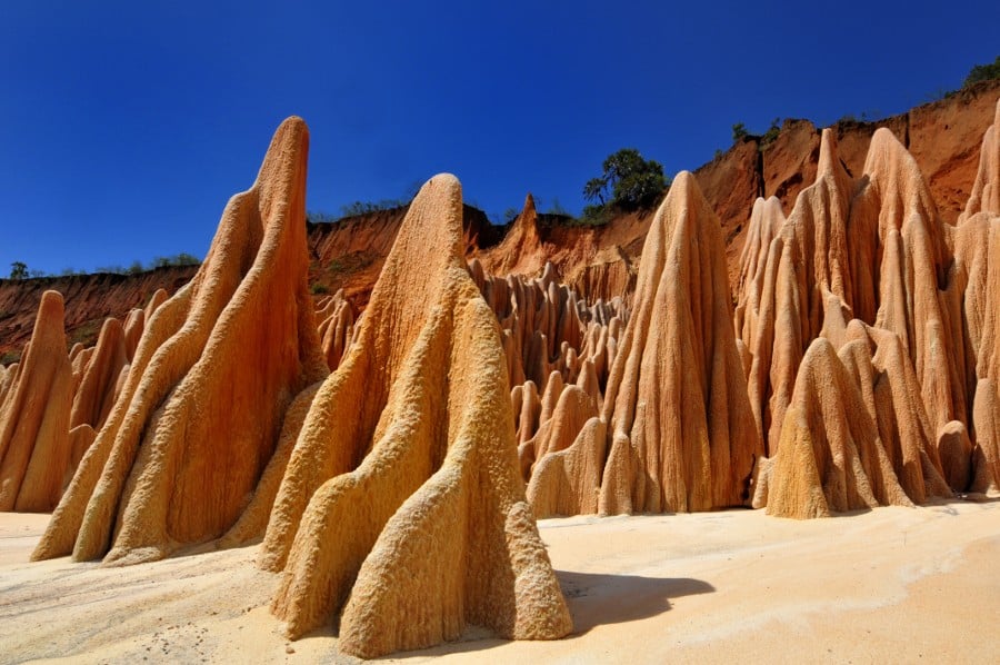 Exploring the Red Tsingy of Diego Suarez