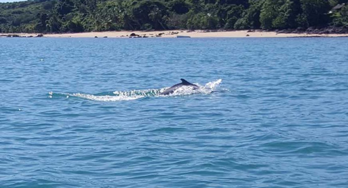 Insel Ecolodge Glücklich