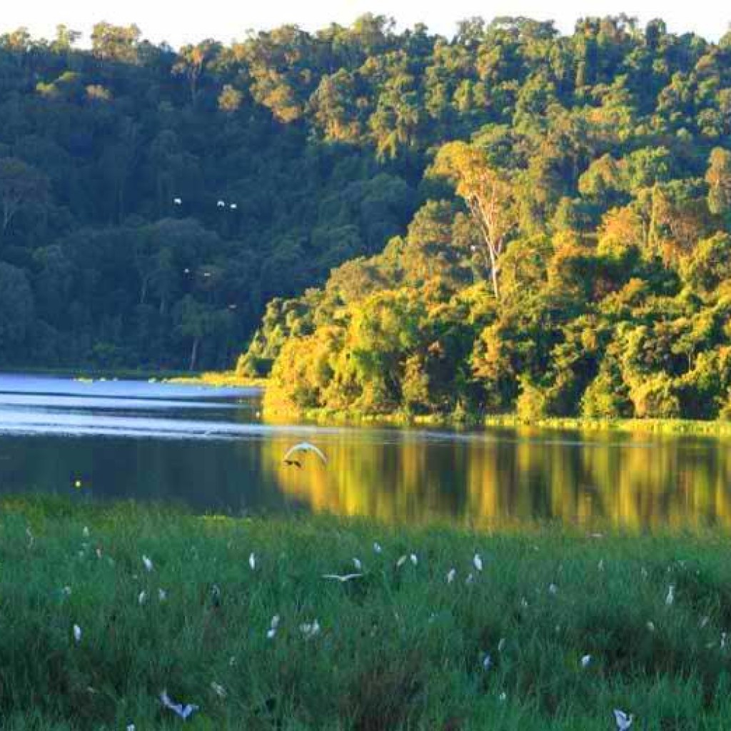 Parc d’Ankarafantsika : Le mystère très conservé des Malgaches