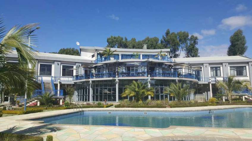 Hotel Eucalyptus