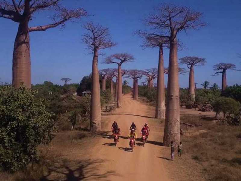 Enduro sport : La piste des Baobabs