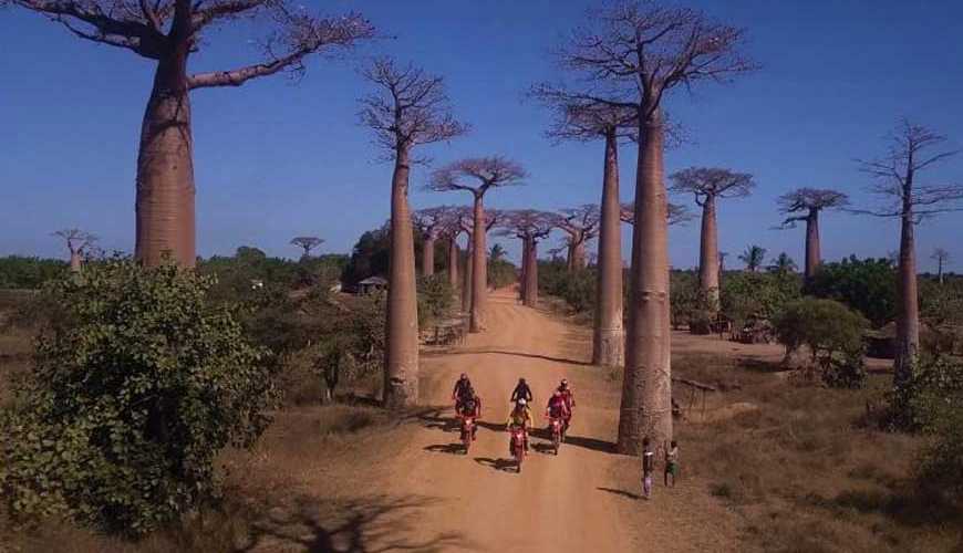 Endurosport : Die Strecke Baobab