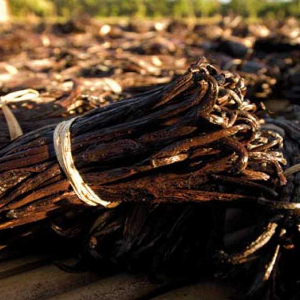 Vanilla zu Ehren Buch Hotel in Madagaskar