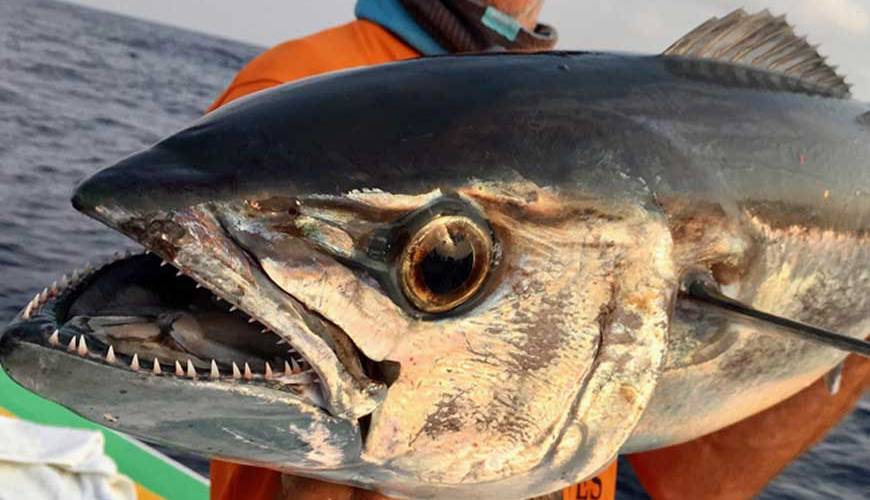 pêche sportive à Nosy-Be