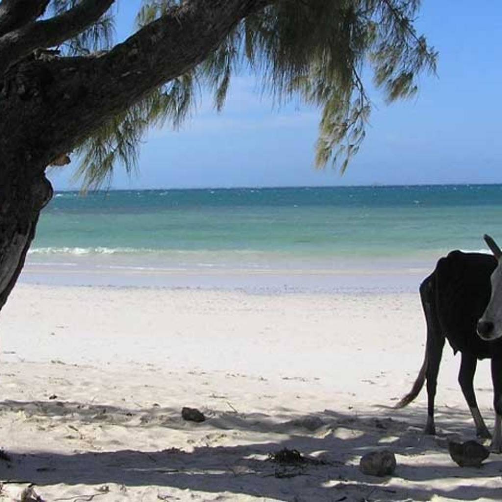 Madagascar un paradis