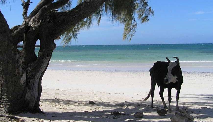 paradiso del Madagascar