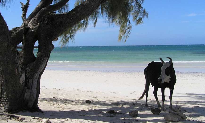 Madagascar un paradis