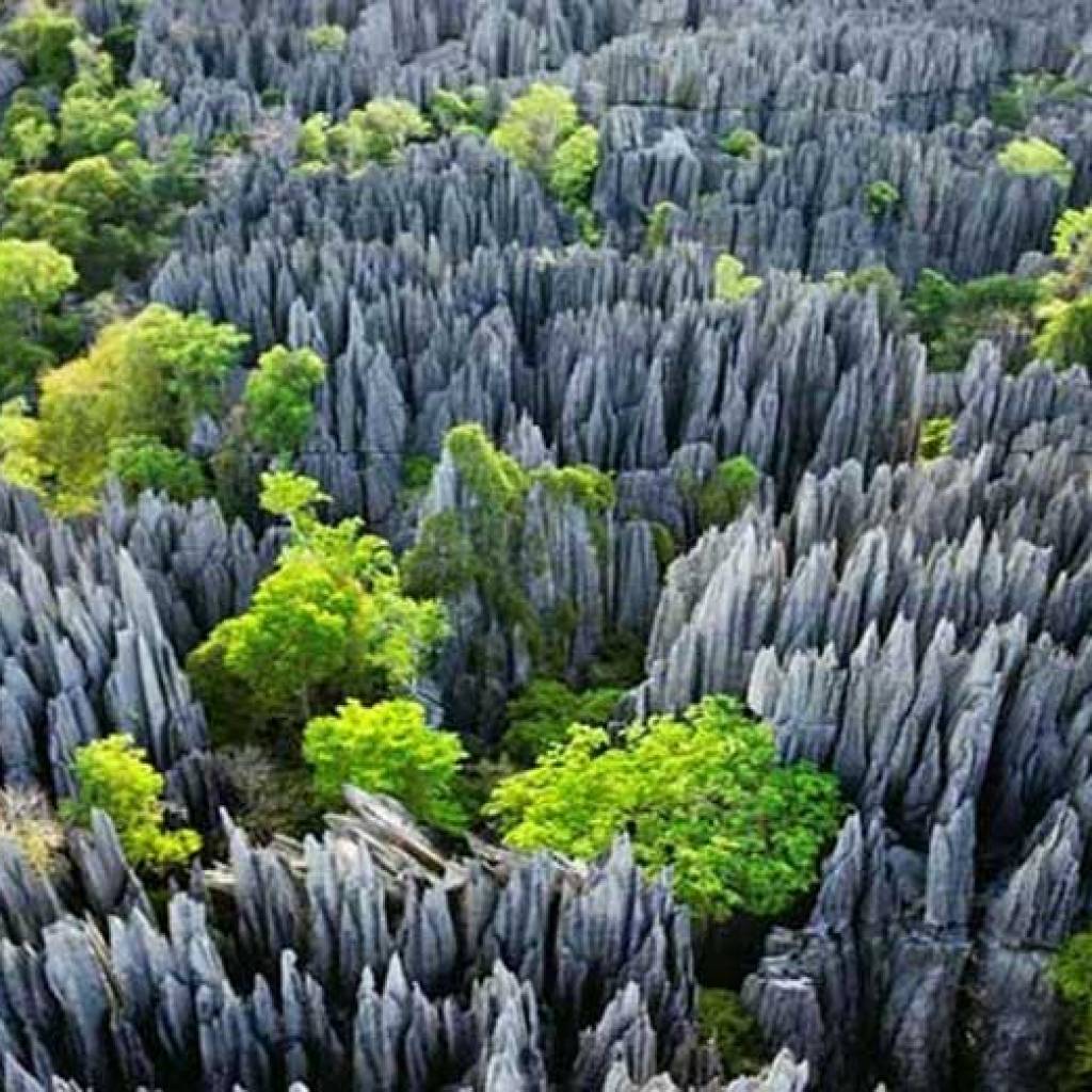 les Tsingy de Bemaraha