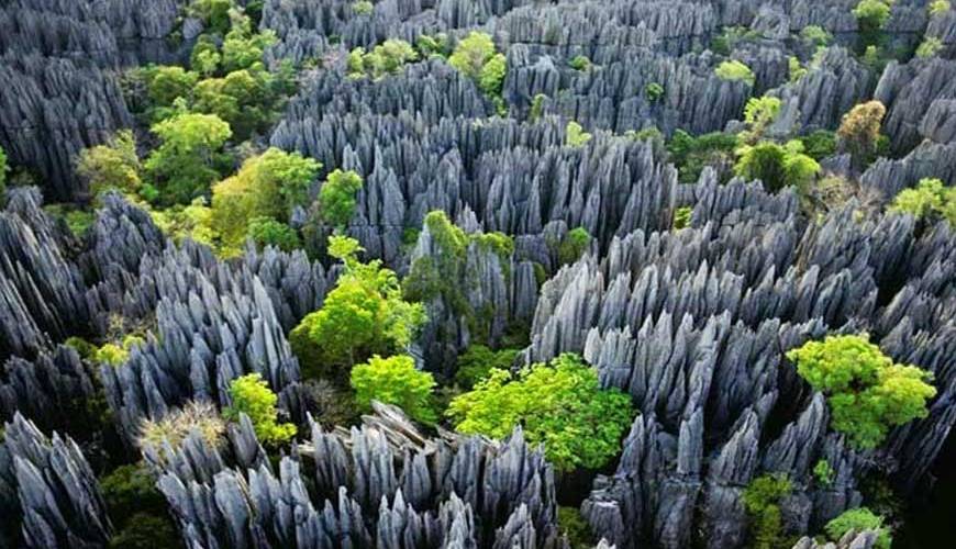 les Tsingy de Bemaraha