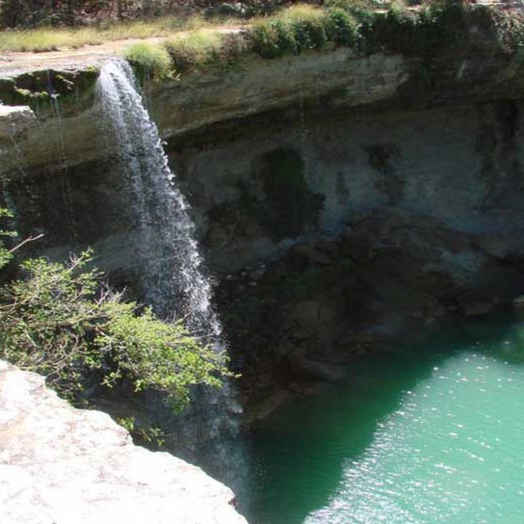 Bagno Baly : tra la spiaggia, foresta e savana