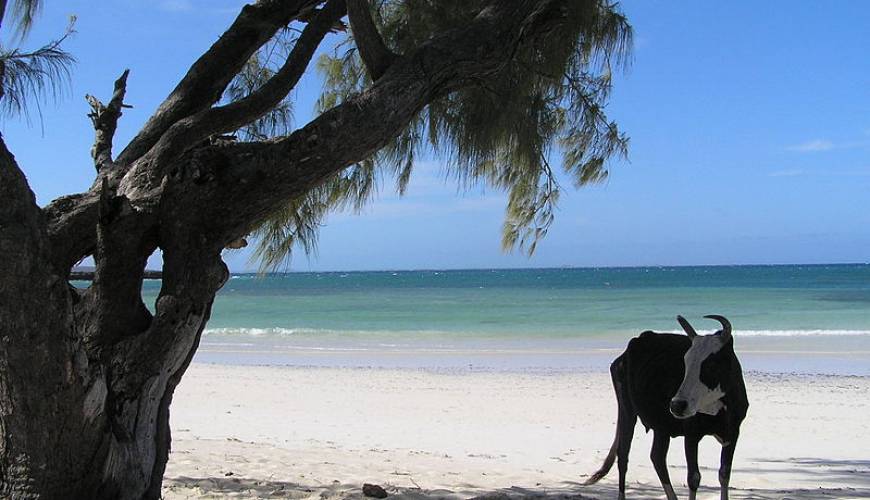 Entdecken Sie die schönsten Strände Madagaskars, Mauritius und Seychellen